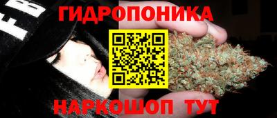 apvp Обь